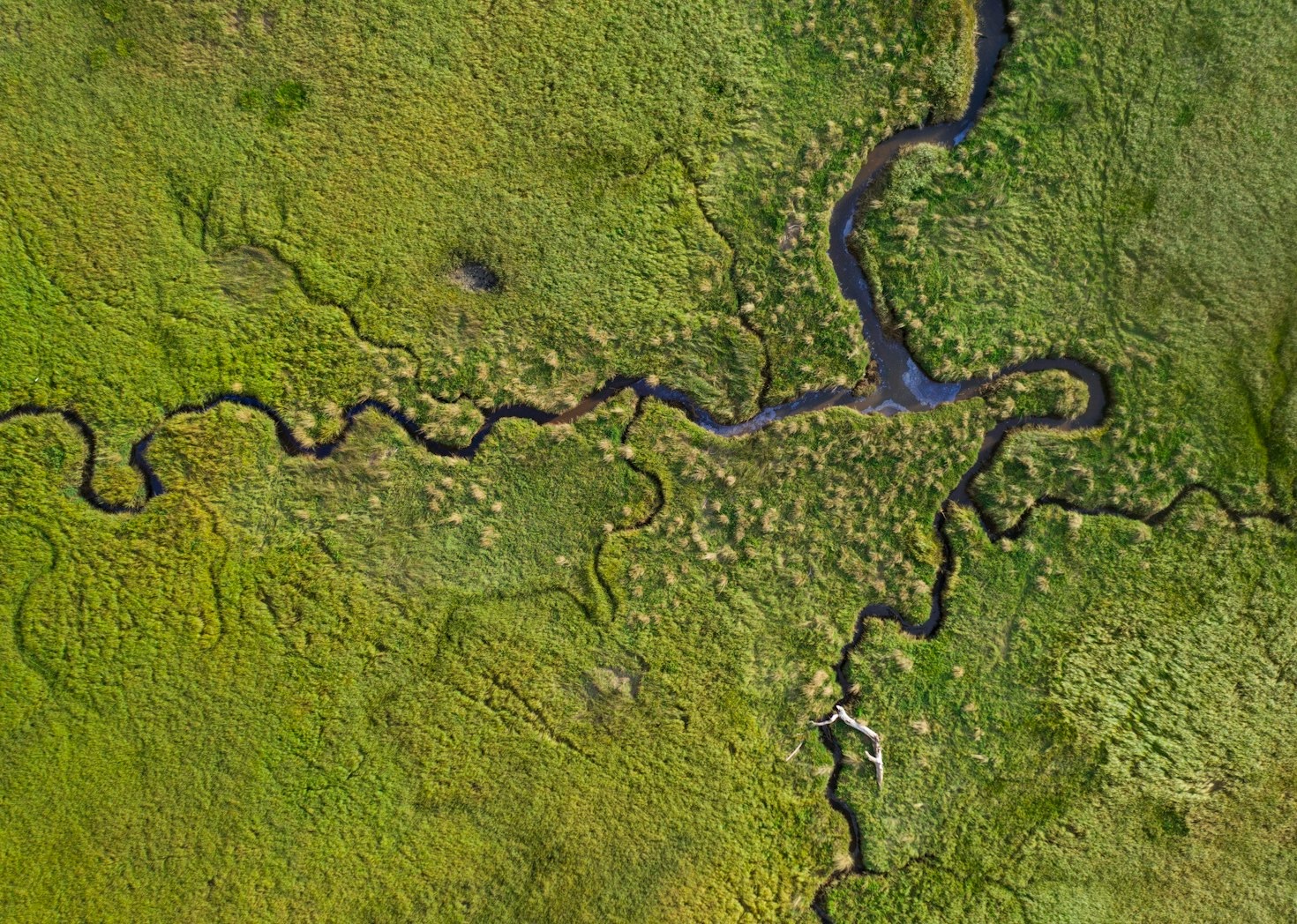 Top Success Stories from the Niger Delta Region