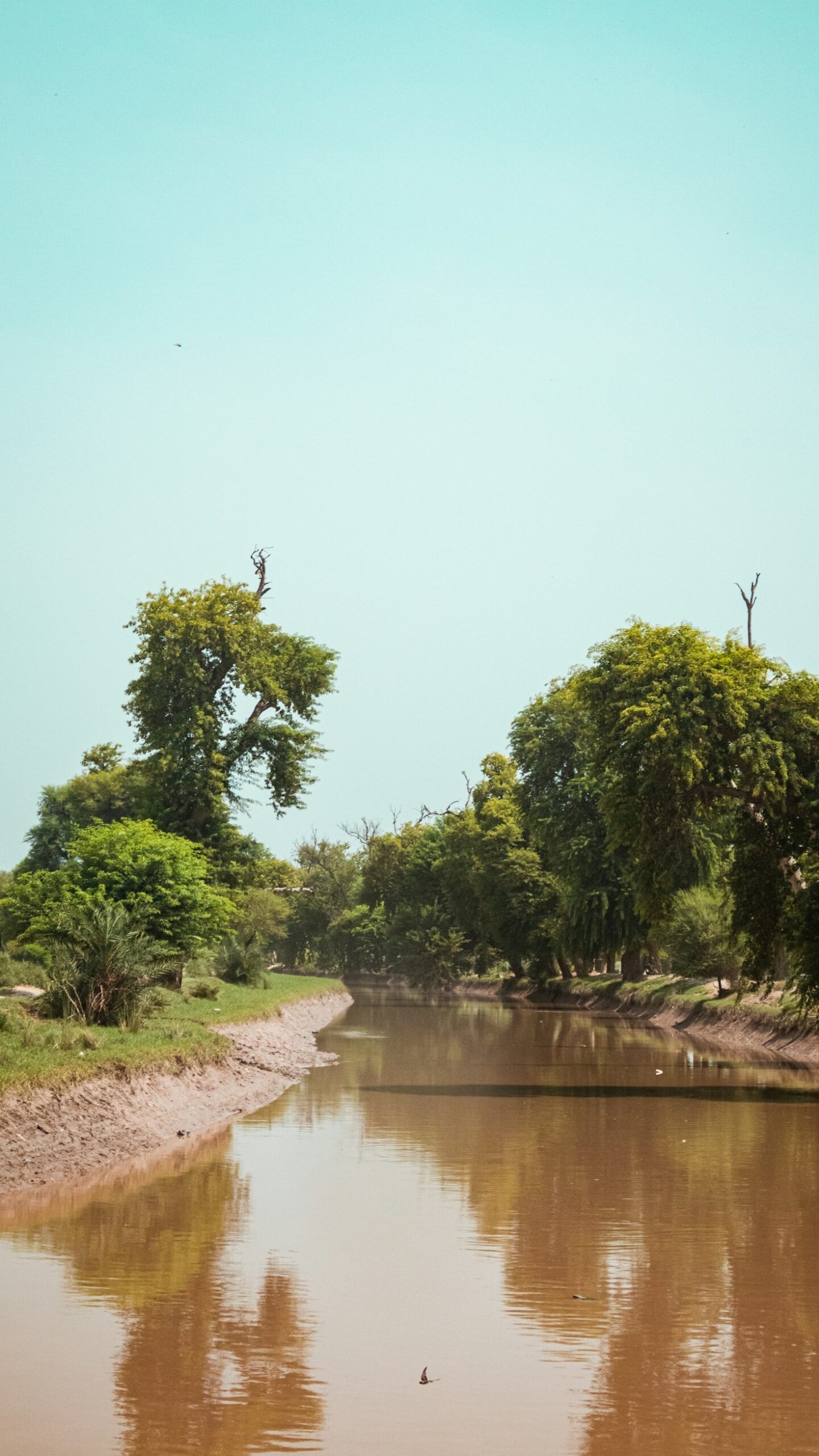 Environmental Challenges and Solutions in the Niger Delta