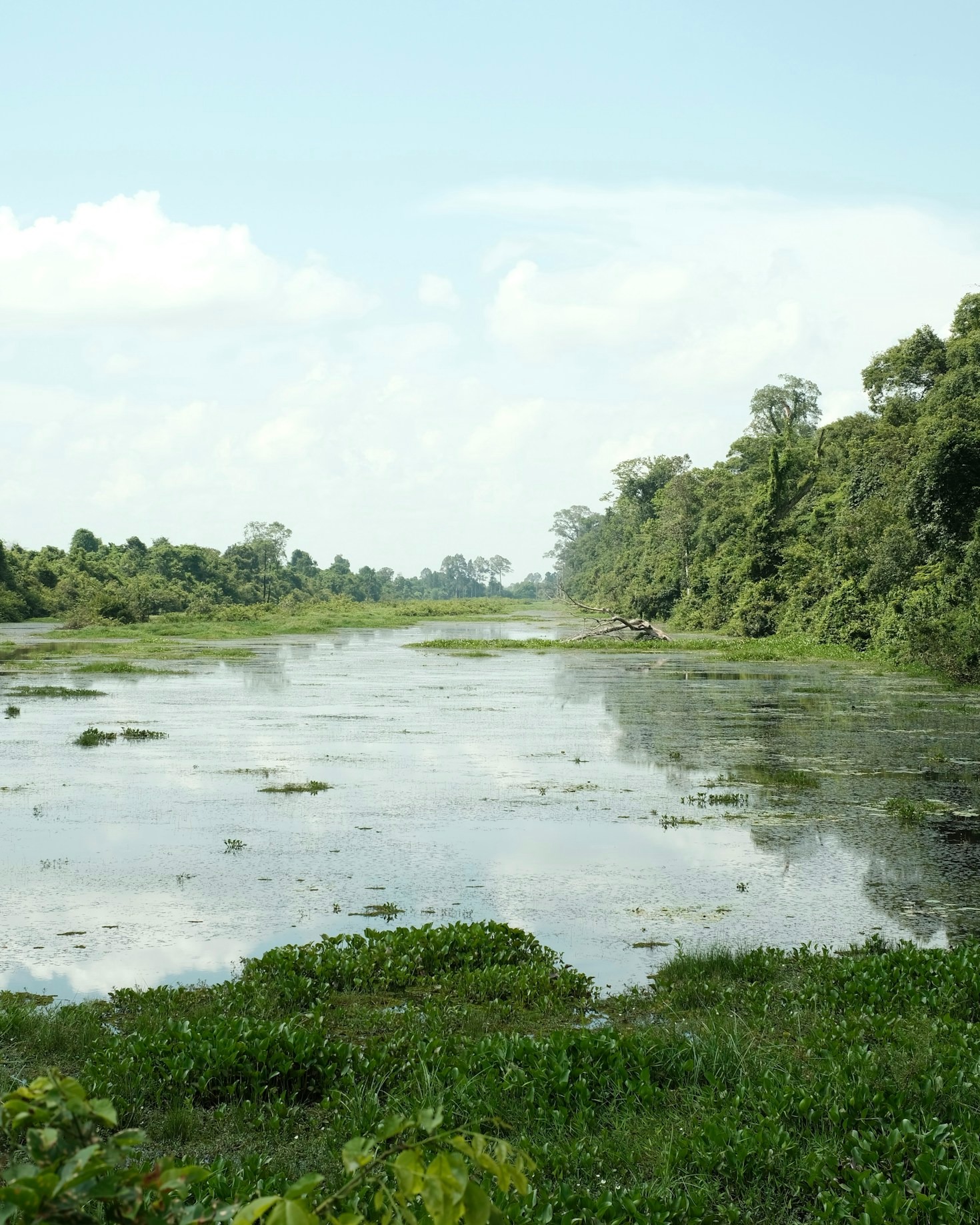Innovative Approaches to Infrastructure Development in the Niger Delta